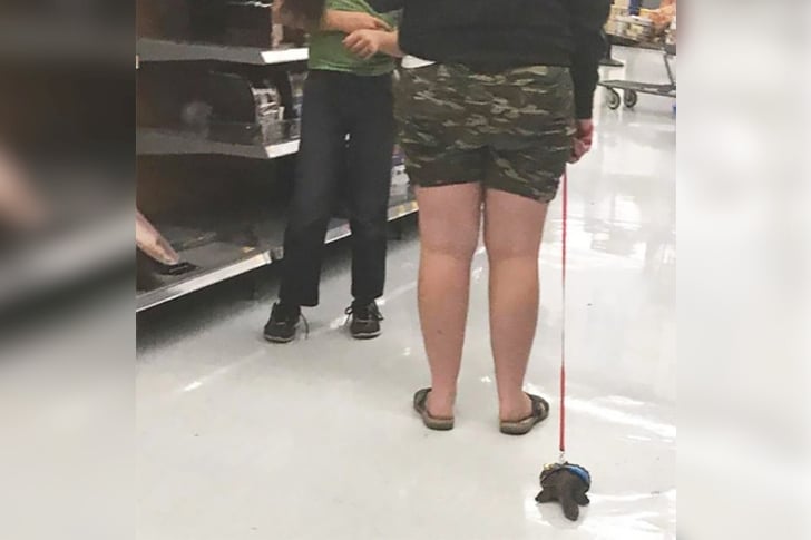 Take the most amazing photos at Walmart