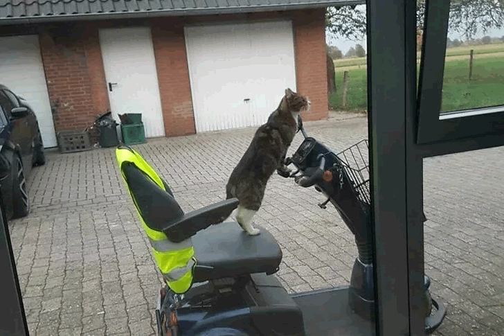 Take the most amazing photos at Walmart