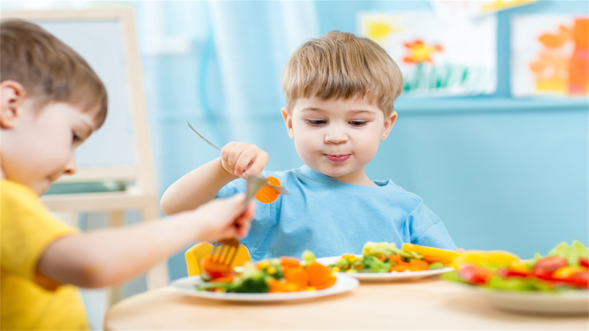 Common Misconceptions and Guidelines for Nutritional Planning in Preschool Children