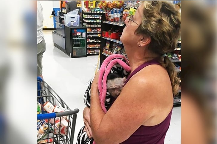 Take the most amazing photos at Walmart