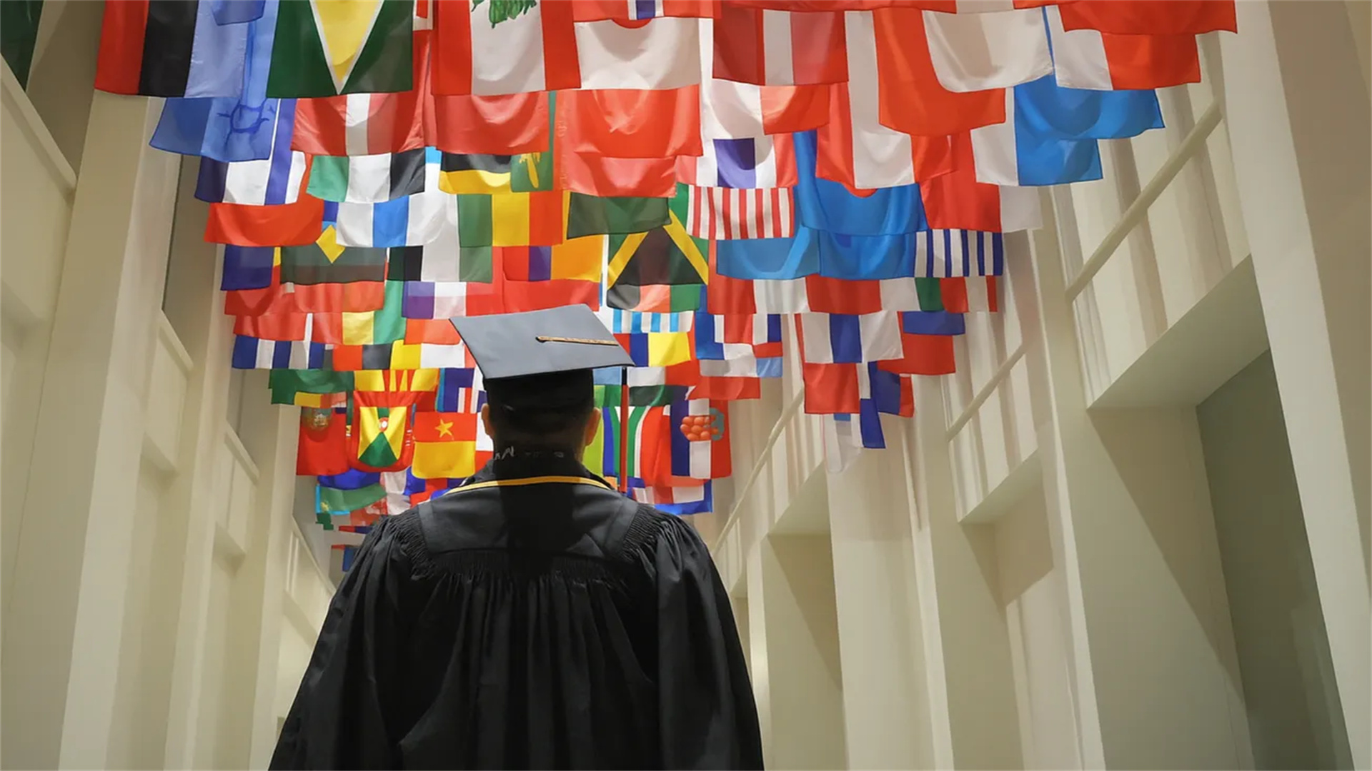 What Education Are Silicon Valley Elites Pursuing? From 